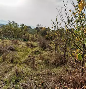 Foto annuncio 15