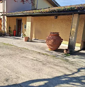 Foto annuncio 14