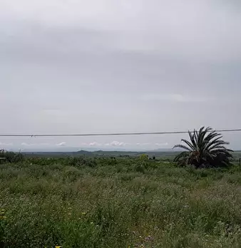 Foto annuncio 4