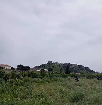 Foto annuncio 5