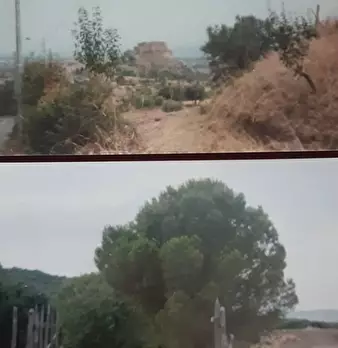 Foto annuncio 1