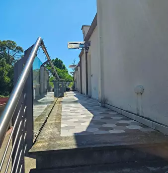 Foto annuncio 11