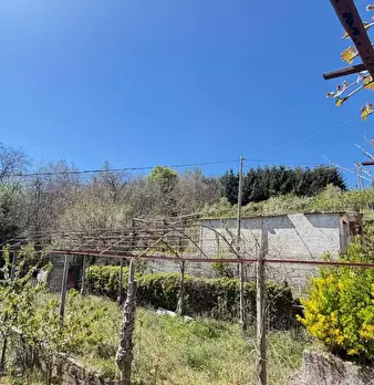 Foto annuncio 4
