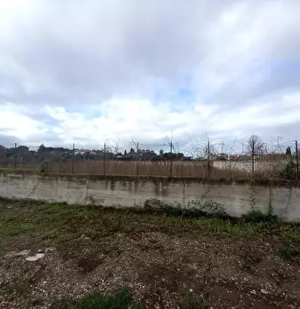 Foto annuncio 10