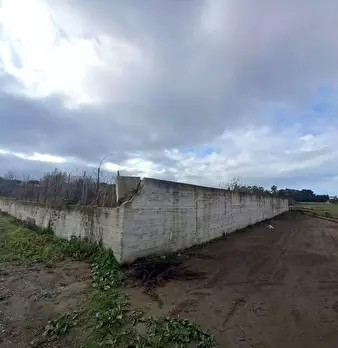 Foto annuncio 12