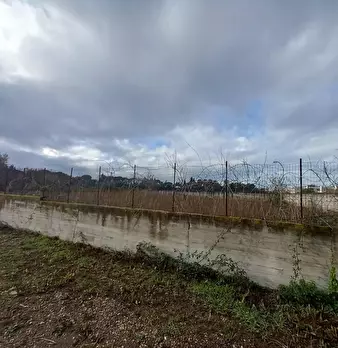 Foto annuncio 13