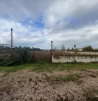 Foto annuncio 14