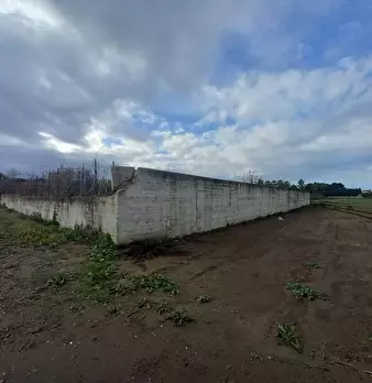 Foto annuncio 4