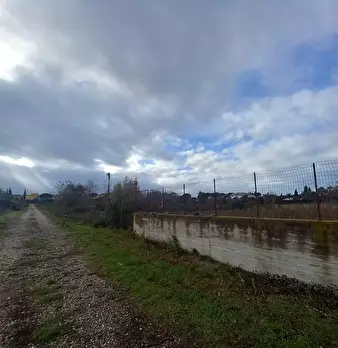 Foto annuncio 5