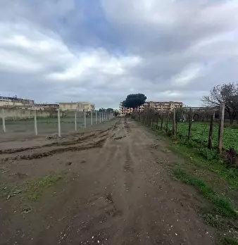 Foto annuncio 7