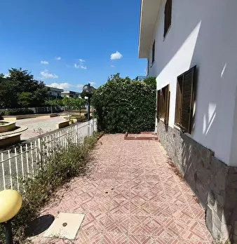 Foto annuncio 10