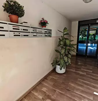 Foto annuncio 7