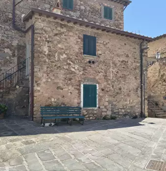 Foto annuncio 7