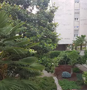 Foto annuncio 10