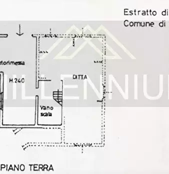 Foto annuncio 18