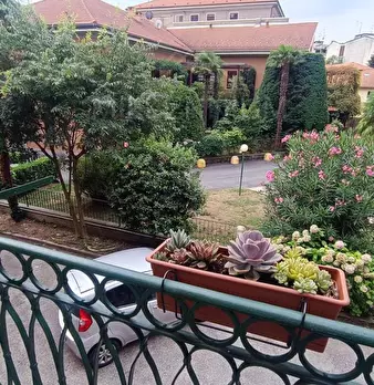 Foto annuncio 12