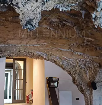 Foto annuncio 16