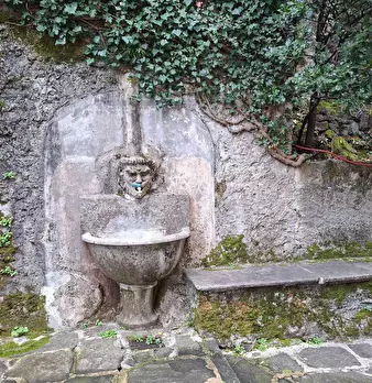 Foto annuncio 20