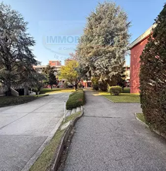 Foto annuncio 7