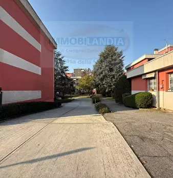 Foto annuncio 6