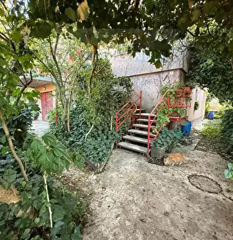 Foto annuncio 12