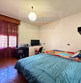 Foto annuncio 12