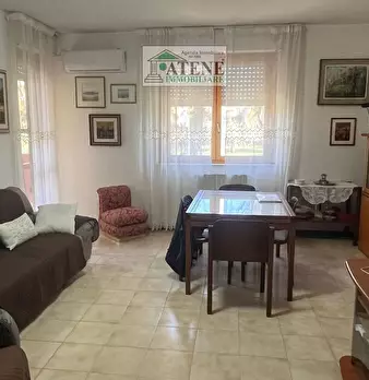 Foto annuncio 9