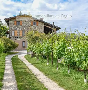 Foto annuncio 7