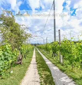 Foto annuncio 8