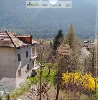 Foto annuncio 19