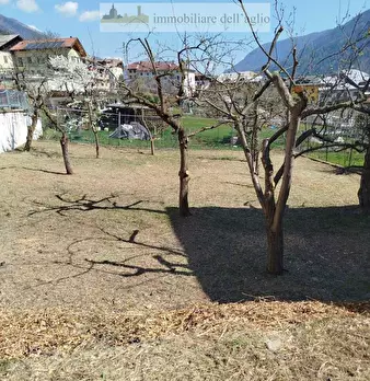 Foto annuncio 21