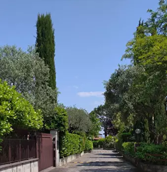 Foto annuncio 9