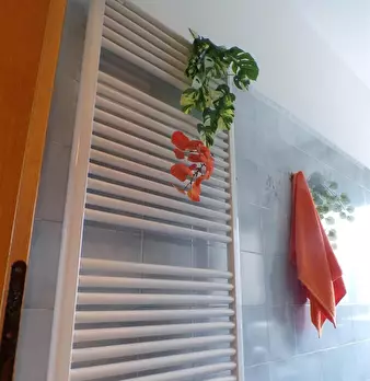 Foto annuncio 25