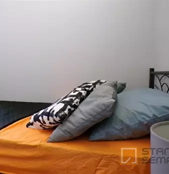 Foto annuncio 11
