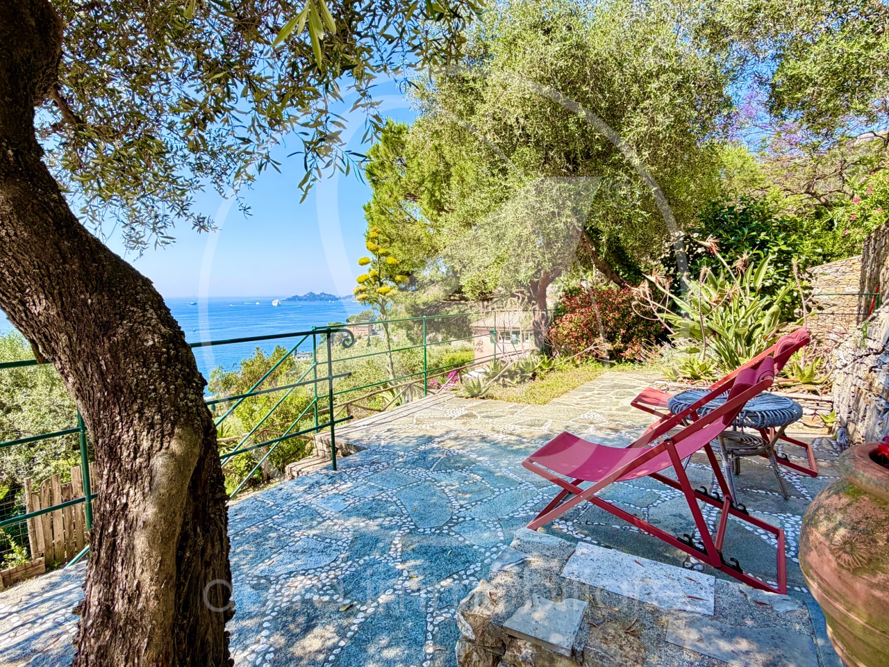 Foto annuncio 1