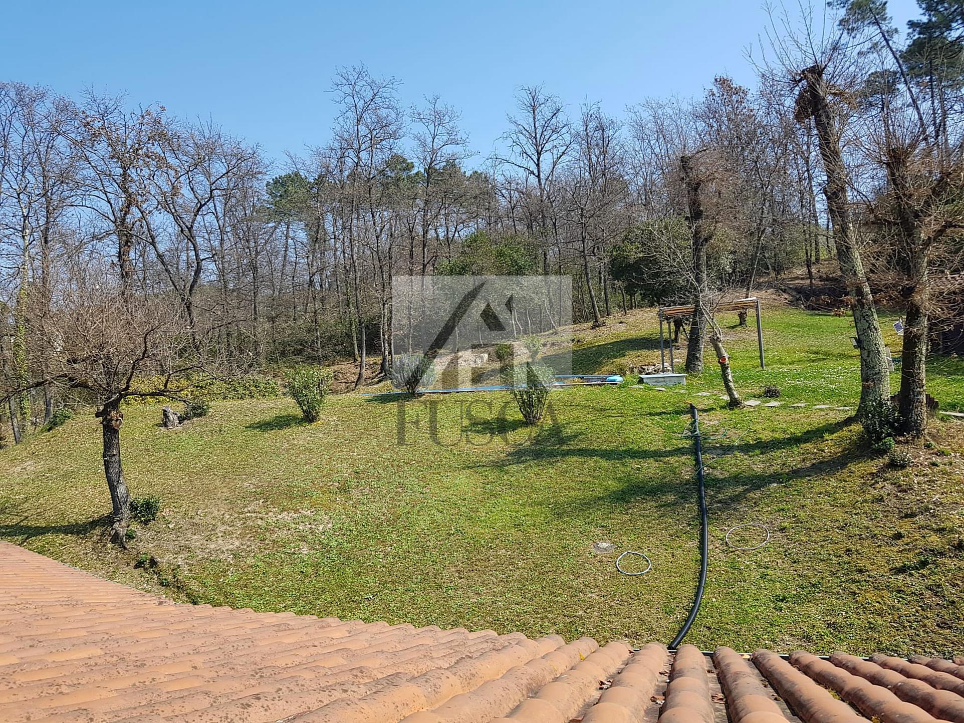 Immagine 9 di Villa in vendita  in Via montebonelli a Lucca