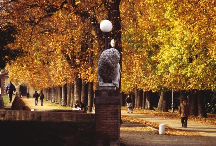 Immagine 3 di Terratetto in vendita  in Via Degli Angeli a Lucca