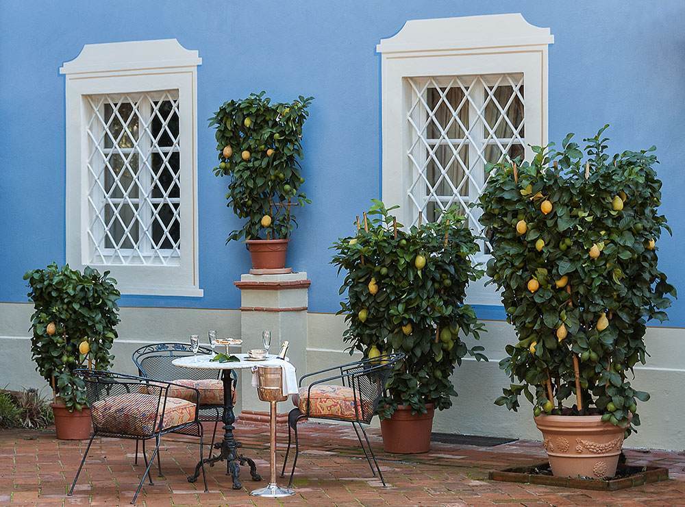 Immagine 2 di Albergo/B&B/Residence in vendita  in Via di Vicopelago e di Pozzuolo a Lucca