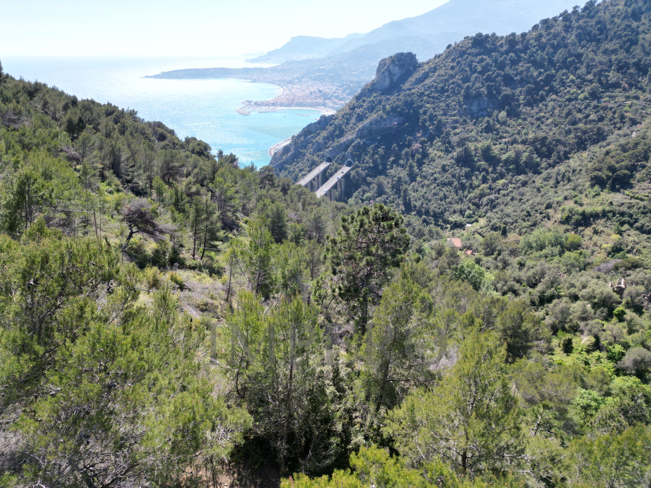 Foto annuncio 37
