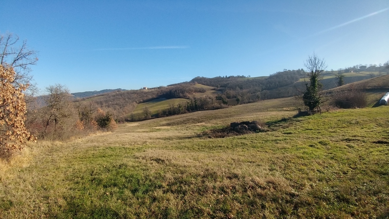 Immagine 12 di Rustico / casale in vendita  in Via della Pace 4 a Valsamoggia