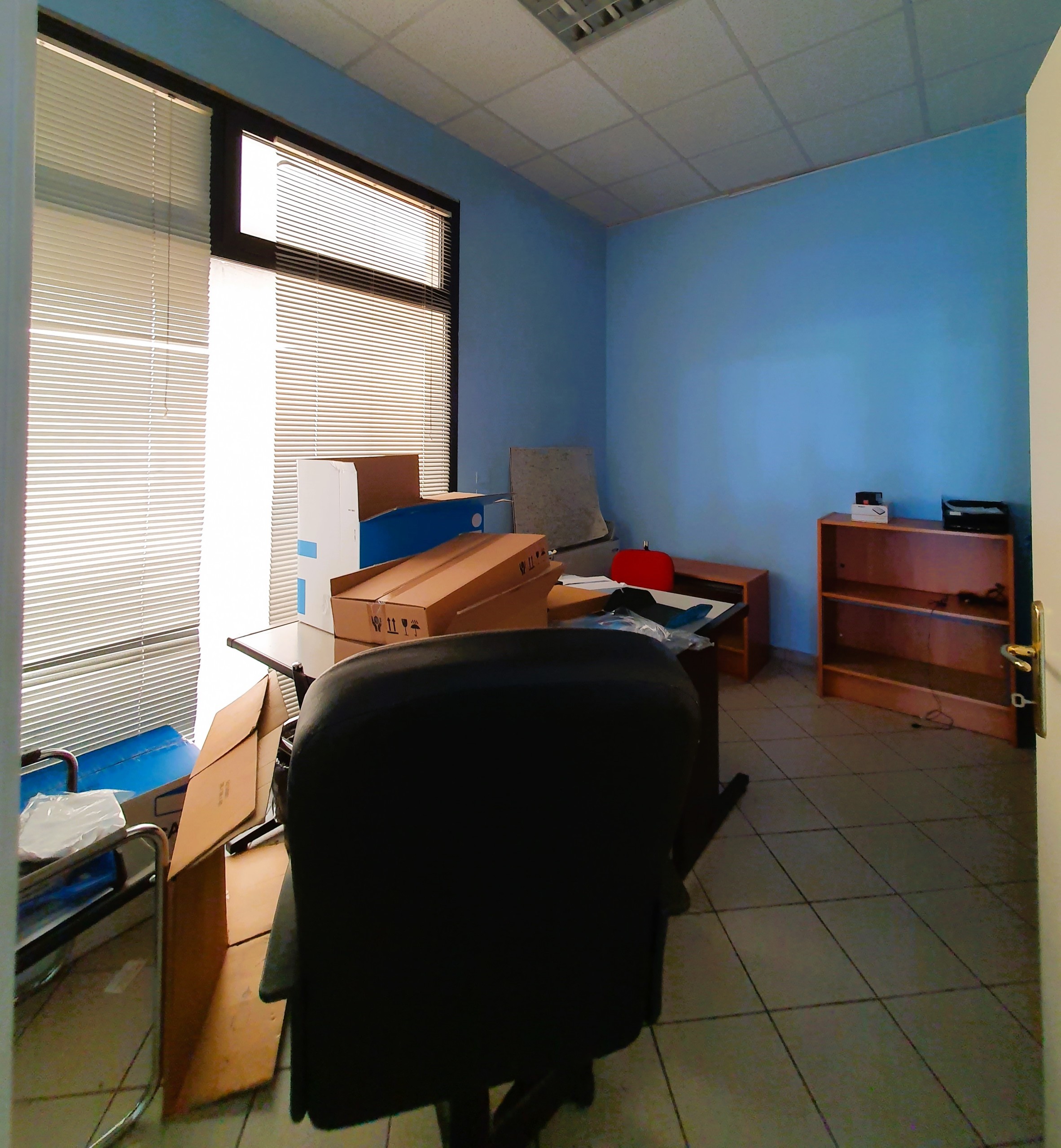 Foto annuncio 11