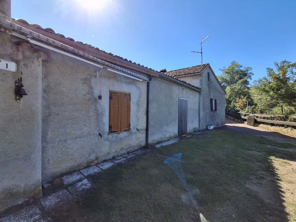 Foto annuncio 7
