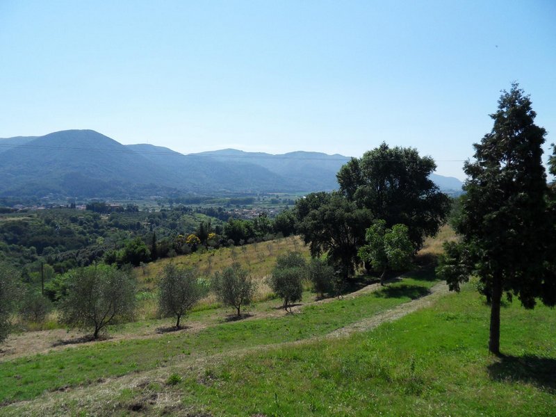 Immagine 29 di Rustico / casale in vendita  in Via per massaciuccoli a San Giuliano Terme