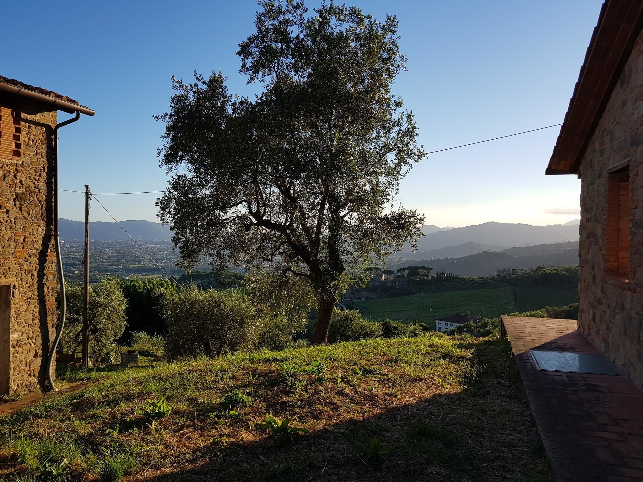 Immagine 6 di Rustico / casale in vendita  in Via di Matraia a Capannori