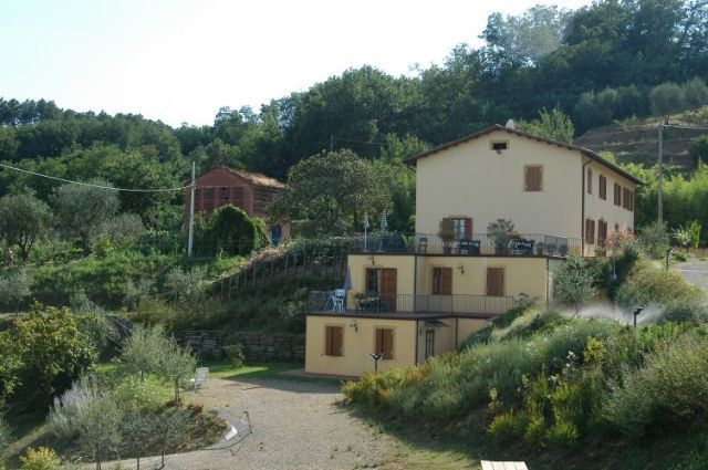 Foto annuncio 28