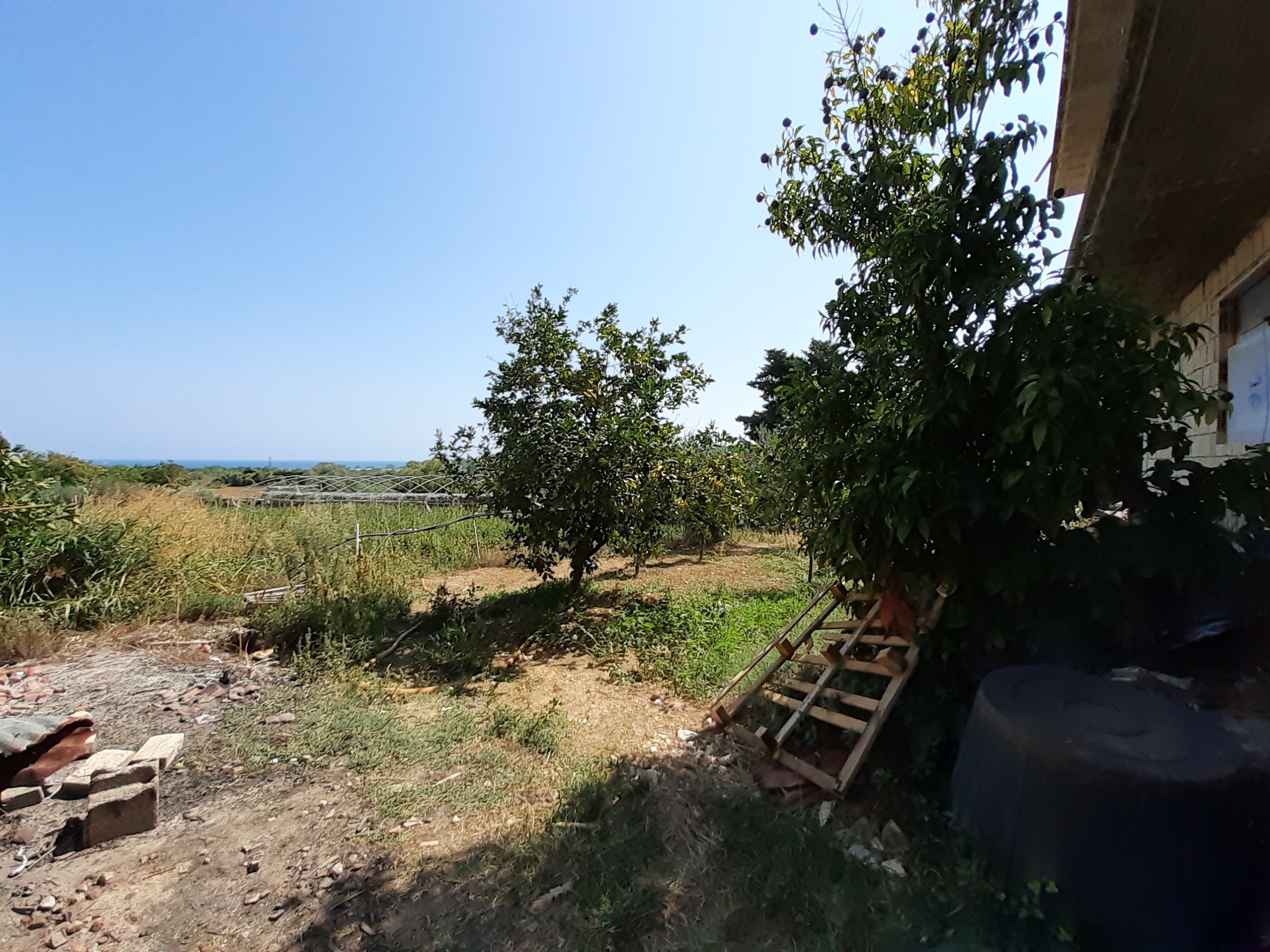 Immagine 9 di Casa indipendente in vendita  a Francavilla Al Mare