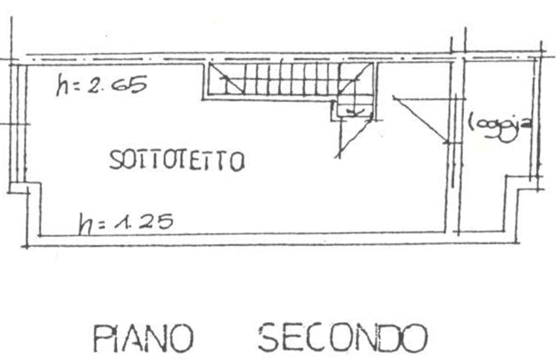 Foto annuncio 17