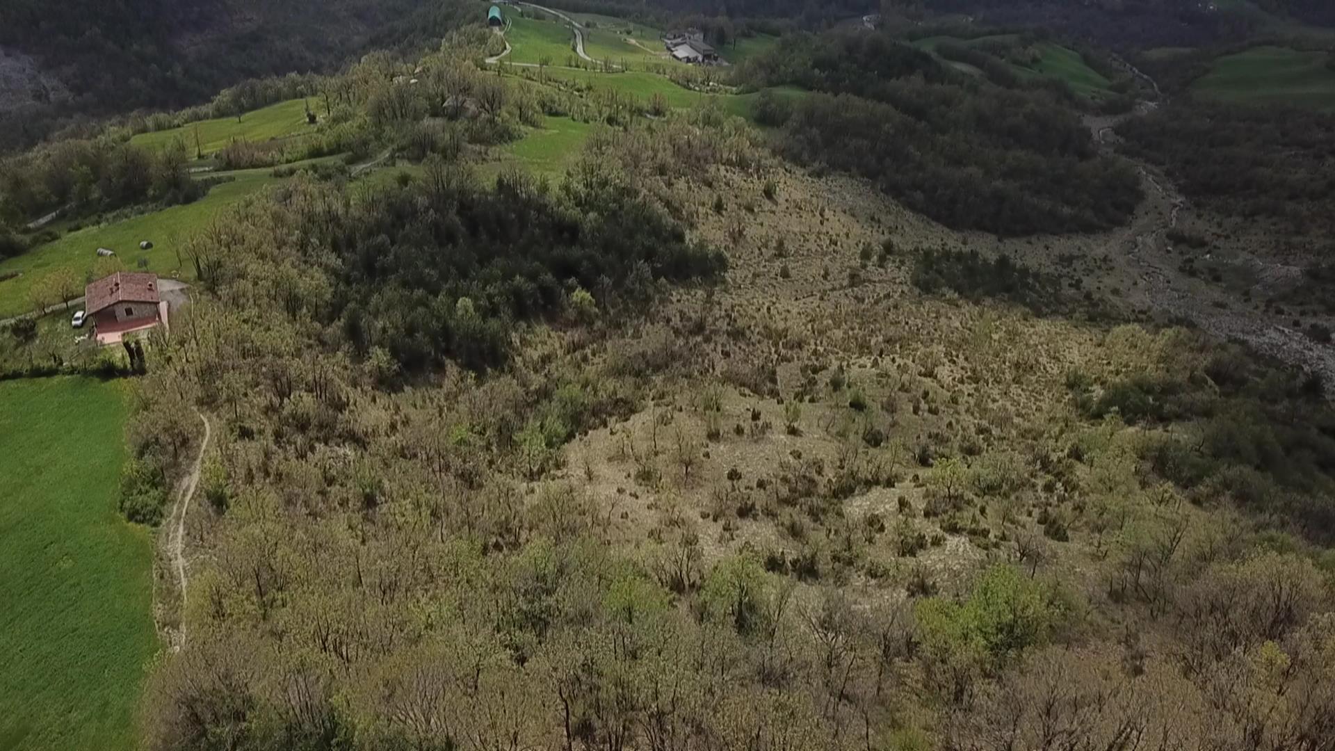 Immagine 17 di Rustico / casale in vendita  a Zocca