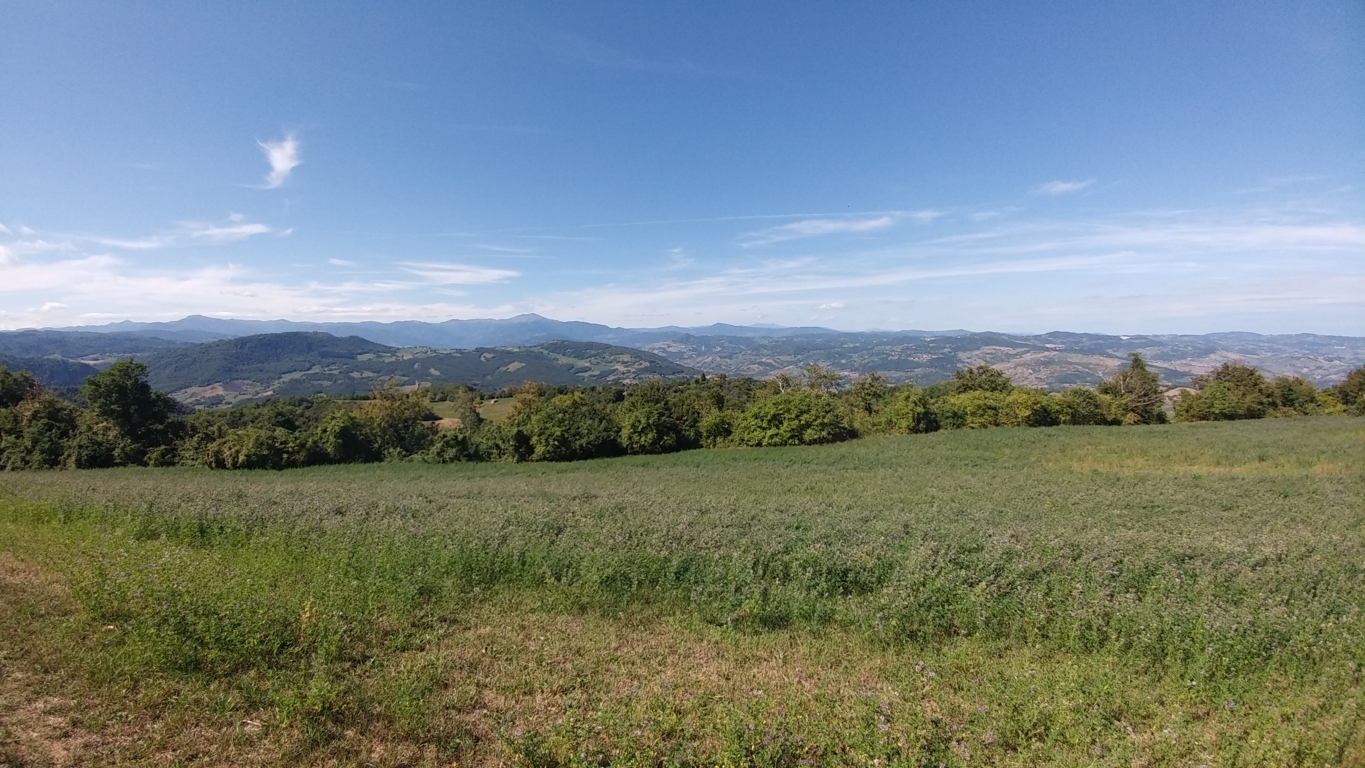 Immagine 44 di Rustico / casale in vendita  in Via Mauro Tesi 1046 a Zocca