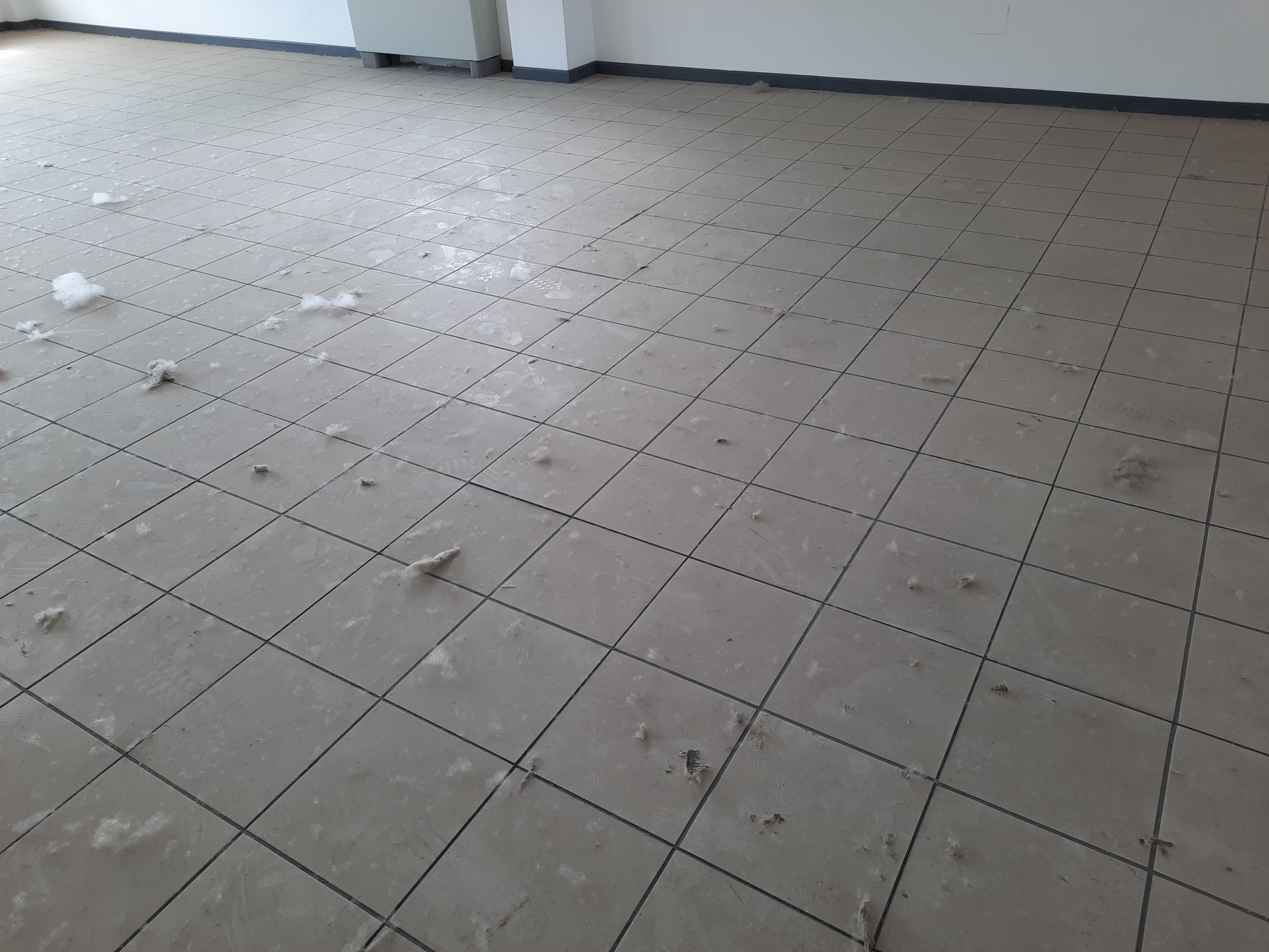 Immagine 4 di Ufficio in affitto  in Viale G. Puccini a Lucca